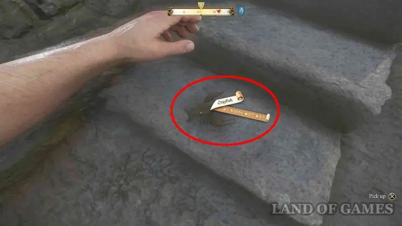 Our daily bread in Kingdom Come Deliverance 2: where to find a book, crayfish and glasses