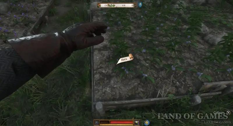 Premonition of Evil in Kingdom Come Deliverance 2: where to find mint and sage