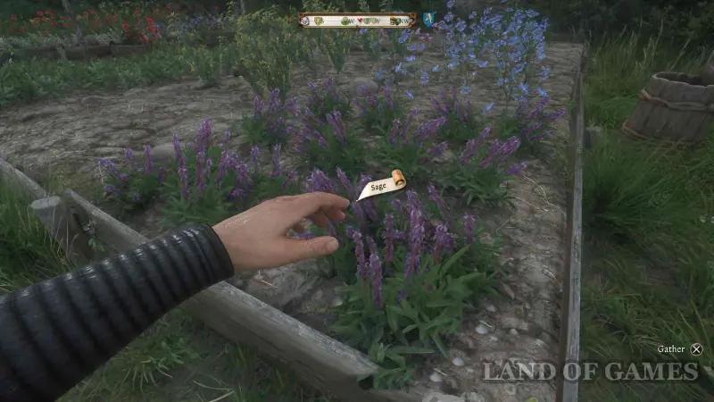 Prevention in Kingdom Come Deliverance 2: where to find rope, leather and oil recipe