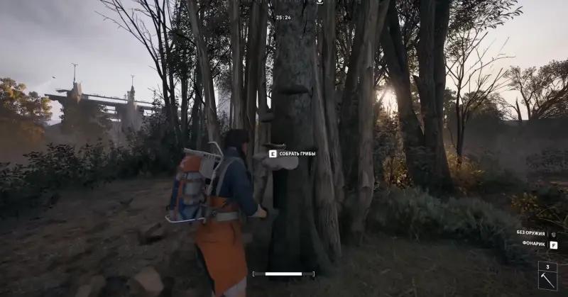 Pumping up Plyushkin's rooster in ARC Raiders: where find a collar, lemons, apricots, mushrooms and prickly pears