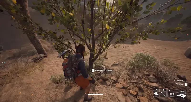 Pumping up Plyushkin's rooster in ARC Raiders: where find collar, lemons, apricots, mushrooms and prickly pears