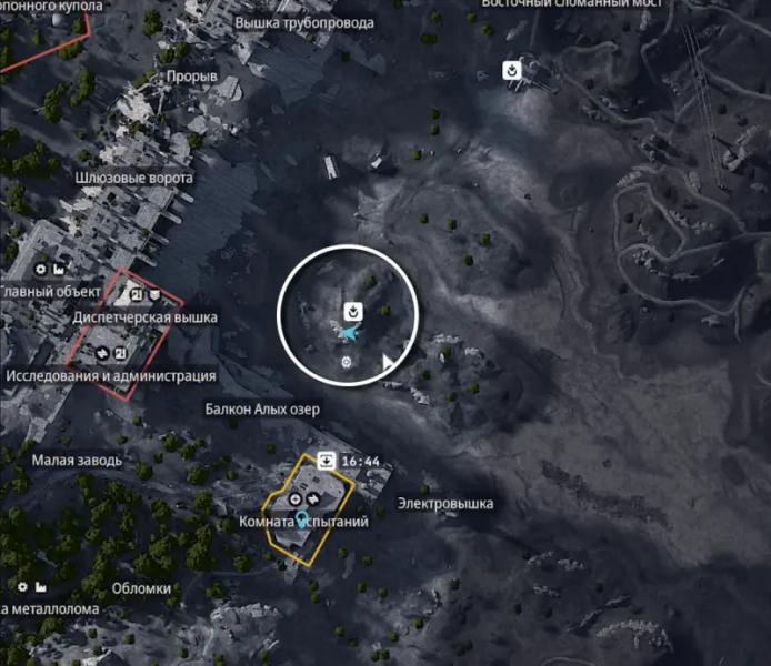 Upgrading Plyushkin's rooster in ARC Raiders: where to find a collar, lemons, apricots, mushrooms and prickly pears