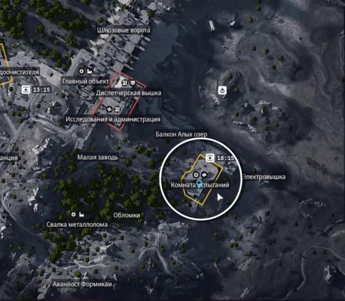 Upgrading Plyushkin's rooster in ARC Raiders: where to find a collar, lemons, apricots, mushrooms and prickly pears