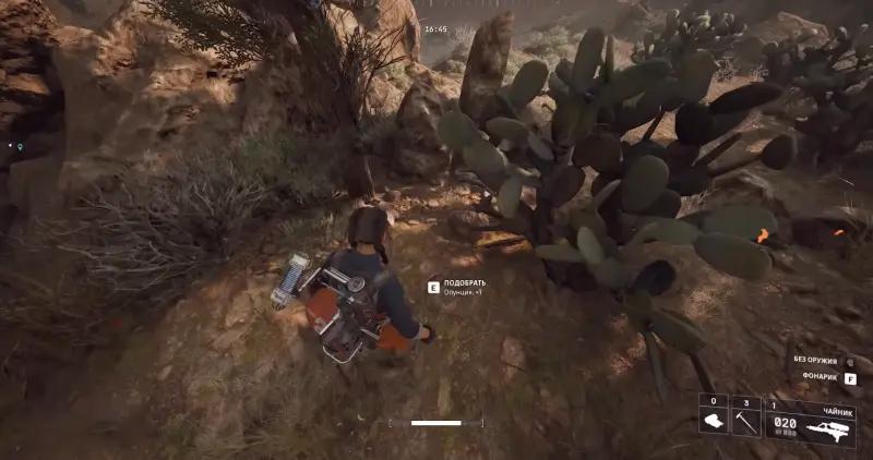 Pumping up Plyushkin's rooster in ARC Raiders: where to find collar, lemons, apricots, mushrooms and prickly pears